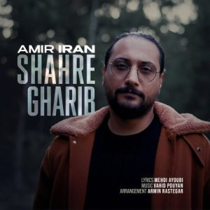 دانلود آهنگ جدید امیر ایران با عنوان شهر غریب